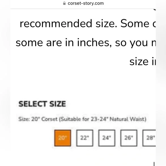 CORSET STORY NWT Tropical Mesh Panel Corset Dress Romantic Feminine Victorian - Picture 8 of 16